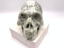 Load image into Gallery viewer, Tree Agate Skull Carving
