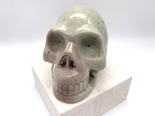Load image into Gallery viewer, Jasper Skull