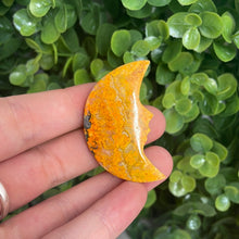 Load image into Gallery viewer, Bumblebee Jasper Moon