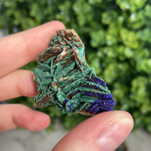 Load image into Gallery viewer, Barite/Azurite With Malachite Cluster