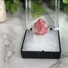 Load image into Gallery viewer, Rhodochrosite Raw