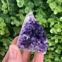 Load image into Gallery viewer, Amethyst Cluster