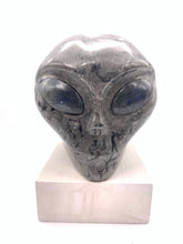 Load image into Gallery viewer, Jasper Alien Skull