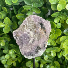 Load image into Gallery viewer, Raw Lepidolite On Metal Stand