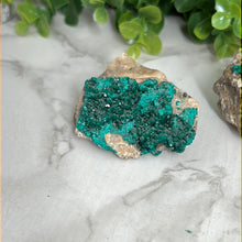 Load image into Gallery viewer, Dioptase Raw Specimen