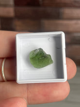 Load image into Gallery viewer, Peridot Gemstone Small
