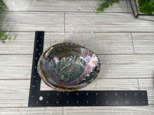 Load image into Gallery viewer, Abalone Shell