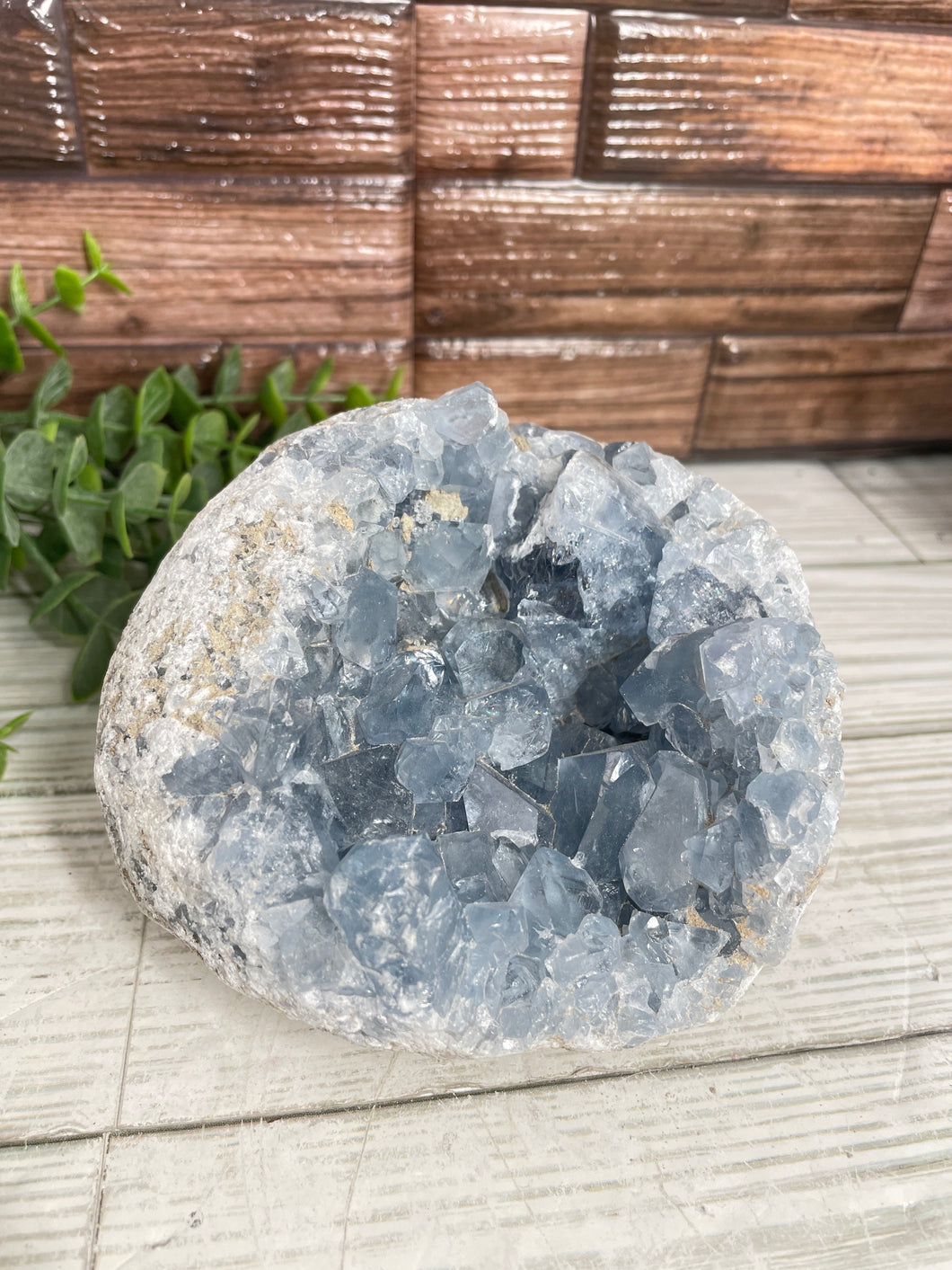 Celestite Cluster