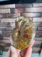 Load image into Gallery viewer, Ammonite Fossil