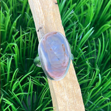 Load image into Gallery viewer, Petrified Wood Sterling Silver Ring Size 11