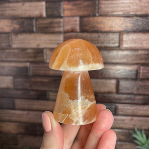 Honey Calcite Mushroom Carving