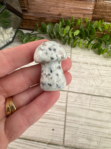 Kiwi Jasper Mushroom
