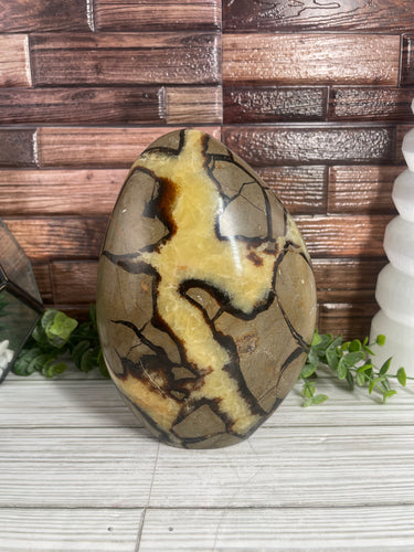 Septarian Calcite Freeform