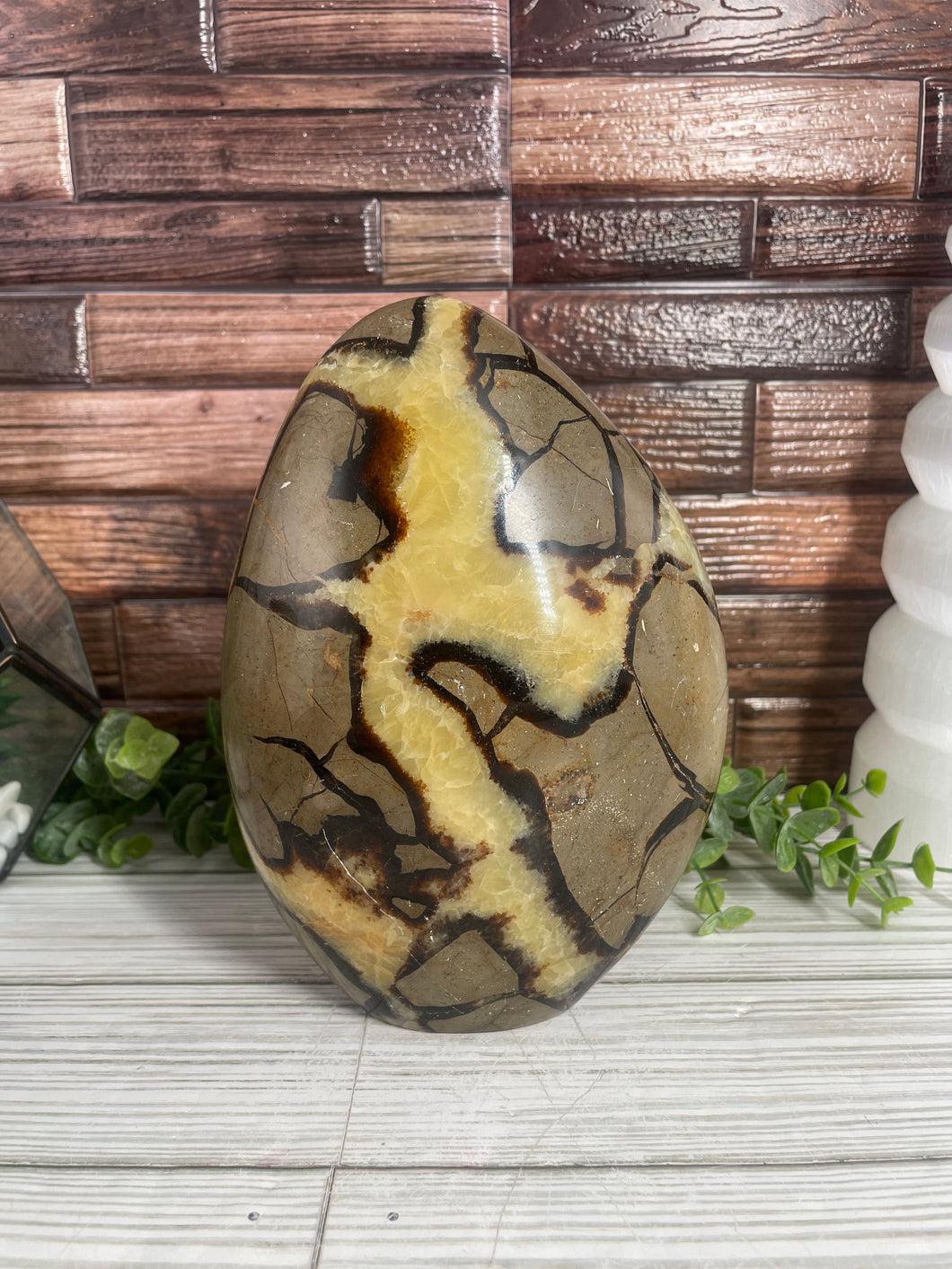 Septarian Calcite Freeform
