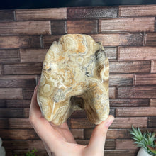 Load image into Gallery viewer, Agate Dinosaur Head Carving