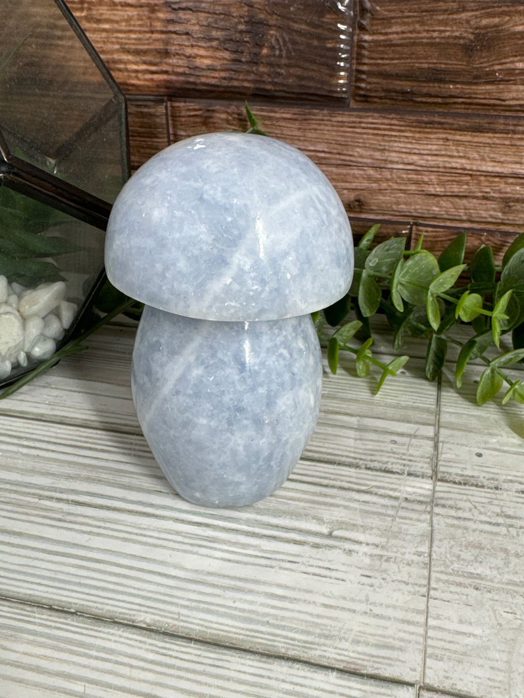 Blue Calcite Mushroom