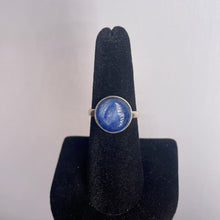 Load image into Gallery viewer, Blue Kyanite Size 8 Sterling Silver Ring