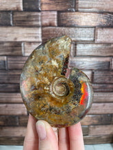 Load image into Gallery viewer, Ammonite Fossil