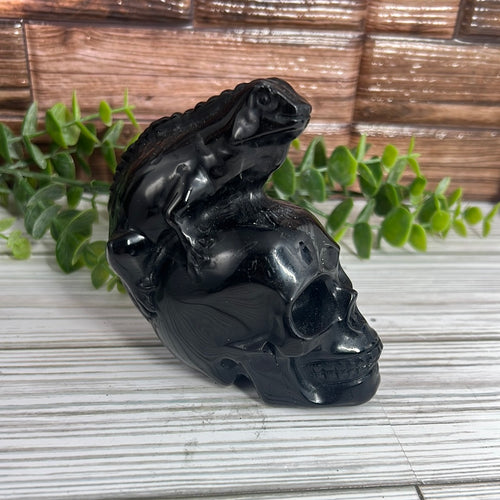 Black Obsidian Skull with Iguana