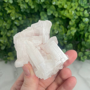 Pink Halite