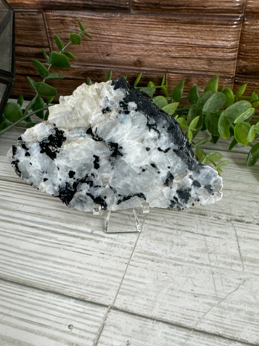 Rainbow Moonstone Slab