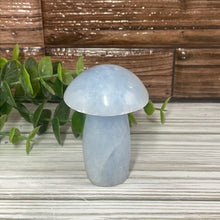 Load image into Gallery viewer, Blue Calcite Mushroom Carving