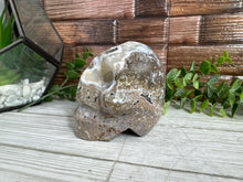 Load image into Gallery viewer, Ocean Jasper Skull