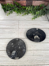 Load image into Gallery viewer, Orthoceras Dish