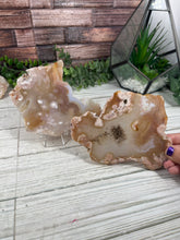 Load image into Gallery viewer, Flower Agate Slab