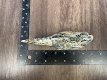 Load image into Gallery viewer, Ocean Jasper Shark