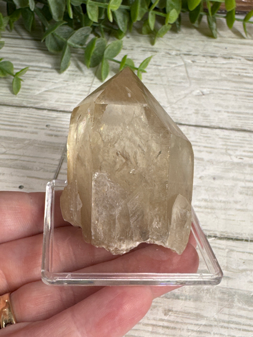 Natural Citrine Point