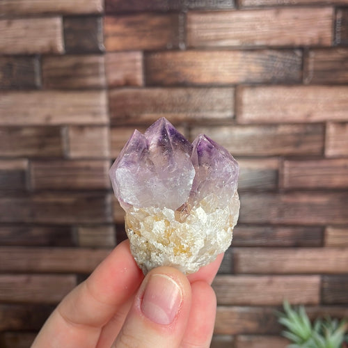 Cactus Spirit Quartz Cluster