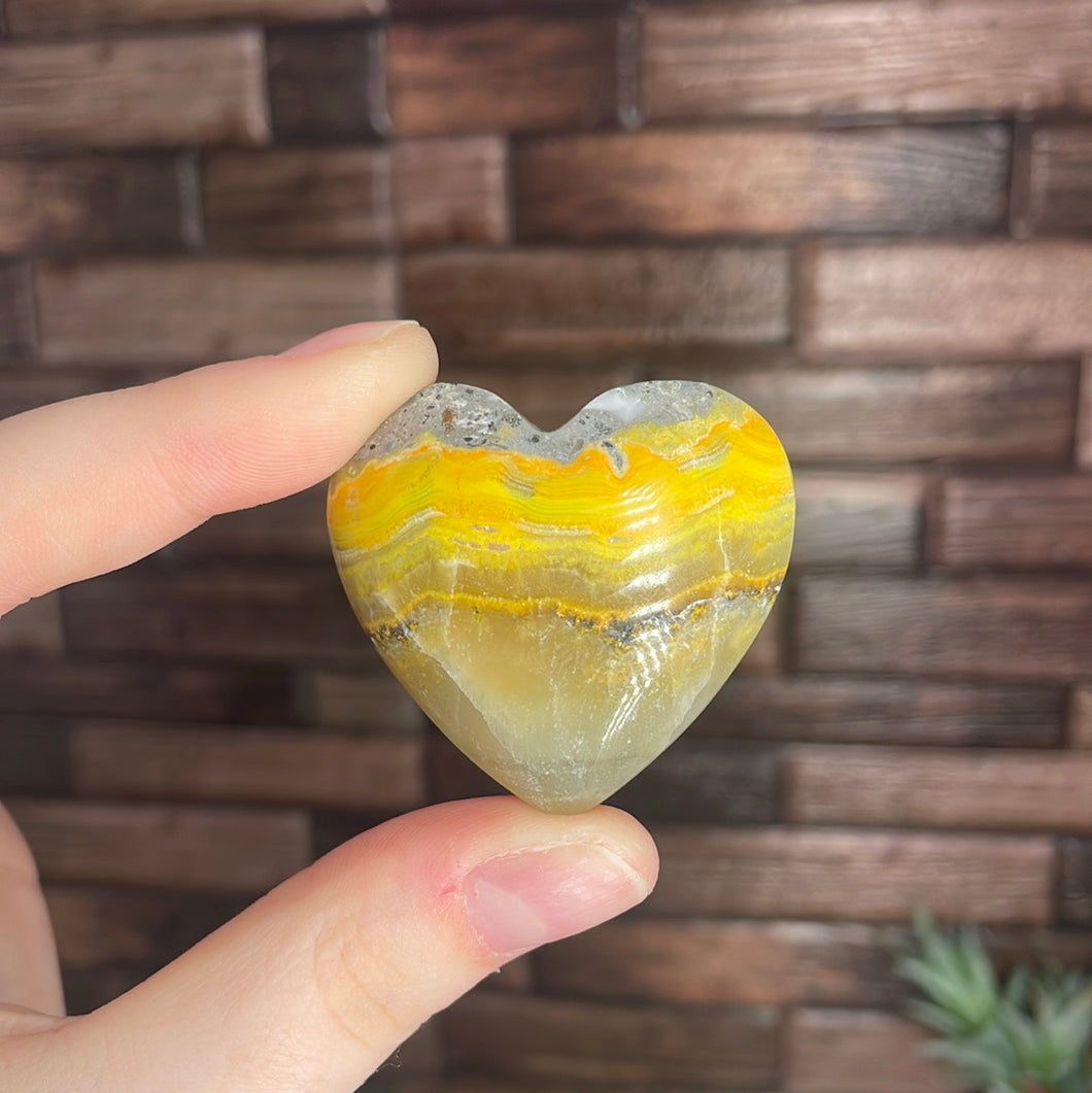 Bumblebee Jasper Heart
