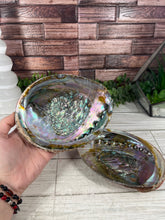 Load image into Gallery viewer, Abalone Shell