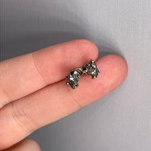 Load image into Gallery viewer, Campo Del Cielo Meteorite Sterling Silver Stud Earrings