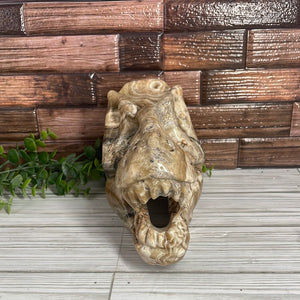 Agate Dinosaur Head Carving