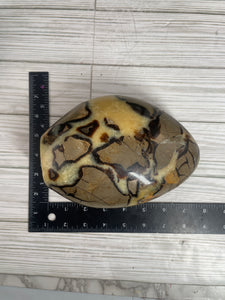 Septarian Calcite Freeform