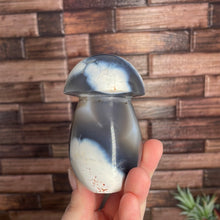 Load image into Gallery viewer, Orca Agate Mushroom Carving