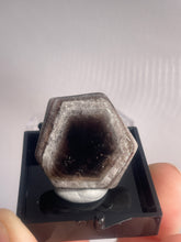 Load image into Gallery viewer, Tropiche Amethyst Slice In Gem Box