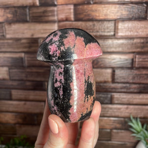 Rhodonite Mushroom Carving