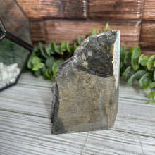 Load image into Gallery viewer, Amethyst Geode