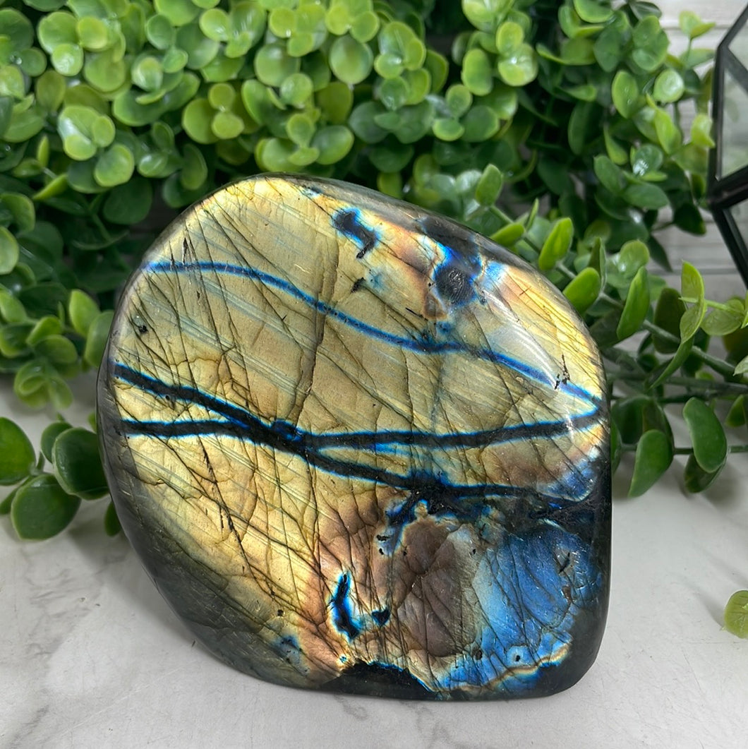 Labradorite Freeform