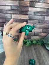 Load image into Gallery viewer, Malachite Turtle