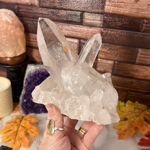 Lemurian Quartz Cluster