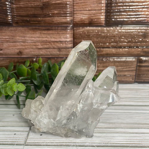 Clear Quartz Cluster