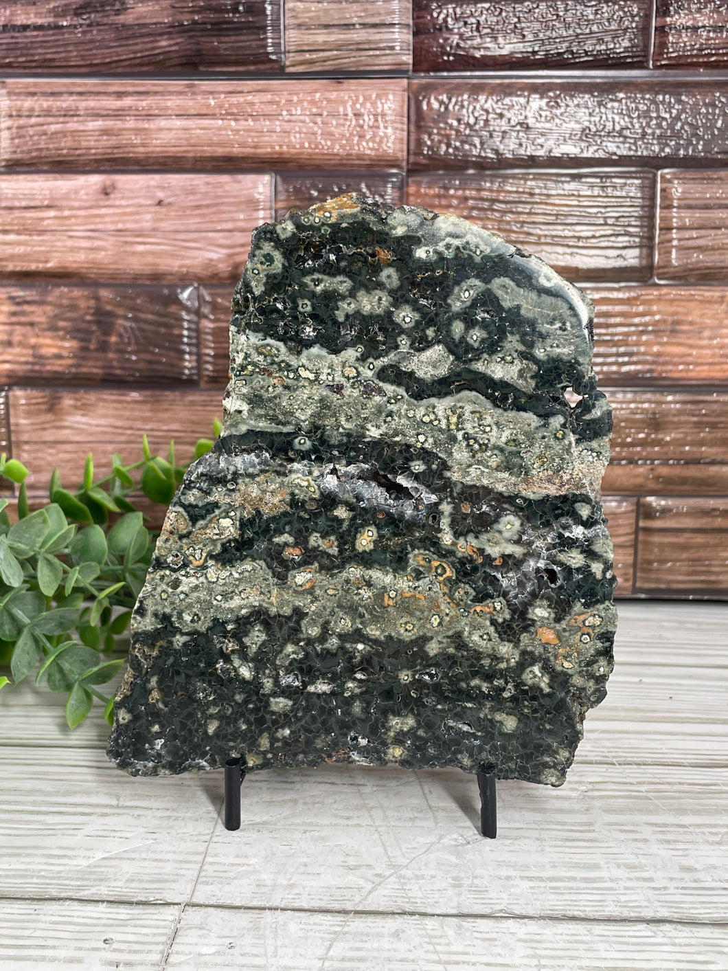 Ocean Jasper Slab