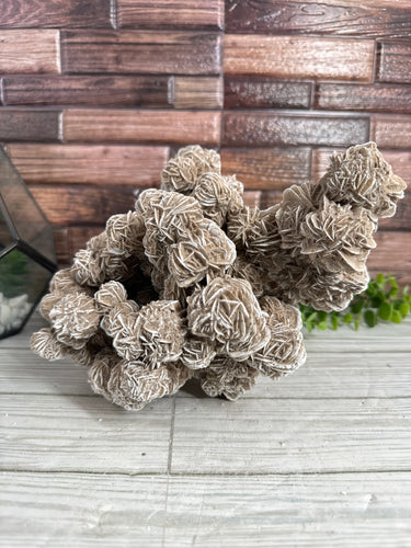 Desert Rose