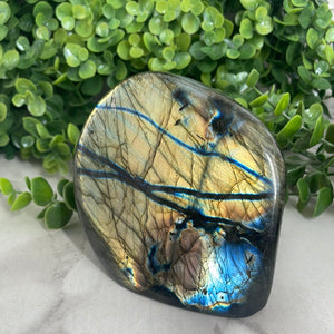 Labradorite Freeform