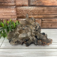 Load image into Gallery viewer, Smoky Quartz With Black Tourmaline Cluster