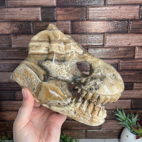 Agate Dinosaur Head Carving